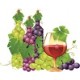 Крымские вина